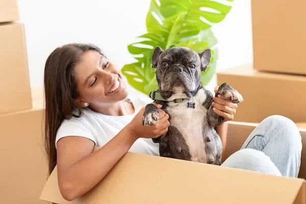 A woman seated on a couch holds her smiling French Bulldog while surrounded by packing boxes, creating a cozy moving day scene.