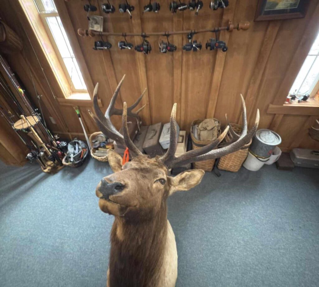 Alt tag:
"Taxidermy deer mount elk antlers hunting trophy room man cave moving services Pittsburgh PA - 1st Step Movers specialty item relocation hunting collectibles firearms room fragile antique transport Greater Pittsburgh region